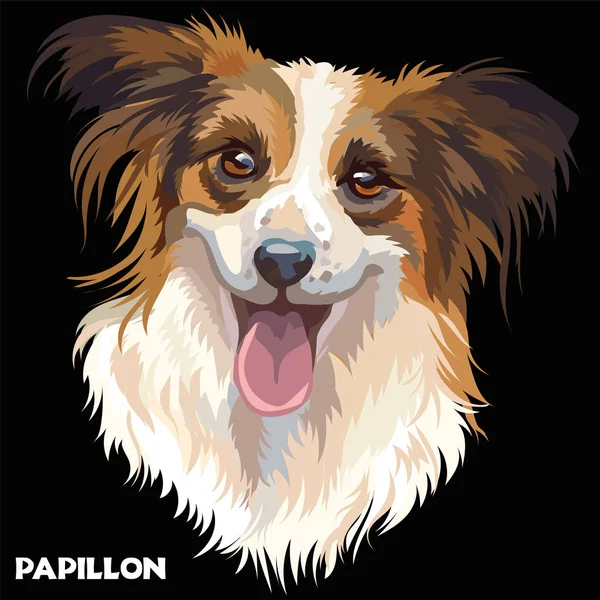 Papillon vectoriel en couleur — Image vectorielle