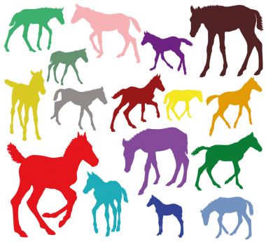 Colorful Set of silhouettes of foals clipart