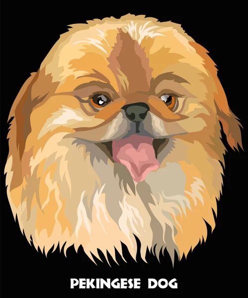 Kolorowy portret wektor pies pekińczyk — Wektor stockowy