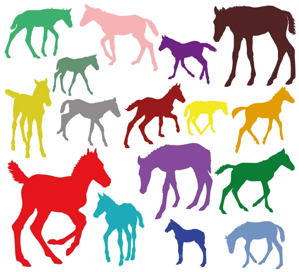 Ensemble coloré de silhouettes de poulains — Image vectorielle