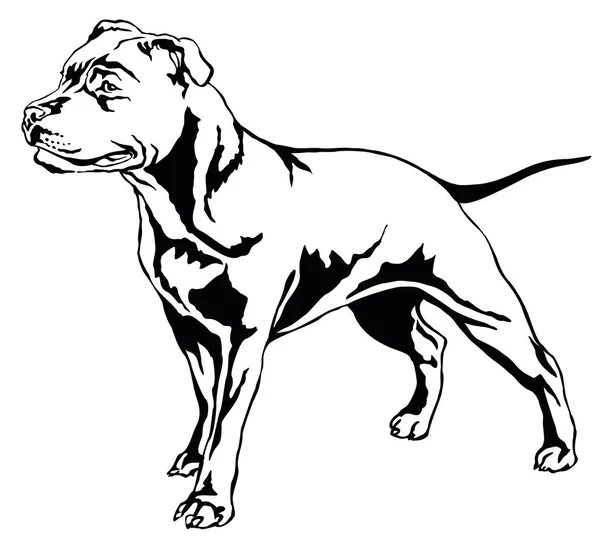 Декоративный стоячий портрет собаки Staffordshire Bull Terrier v. — стоковый вектор