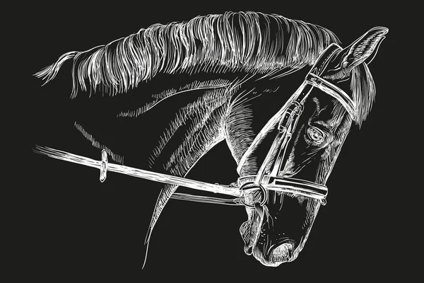 Голова коня з мотузкою — стоковий вектор