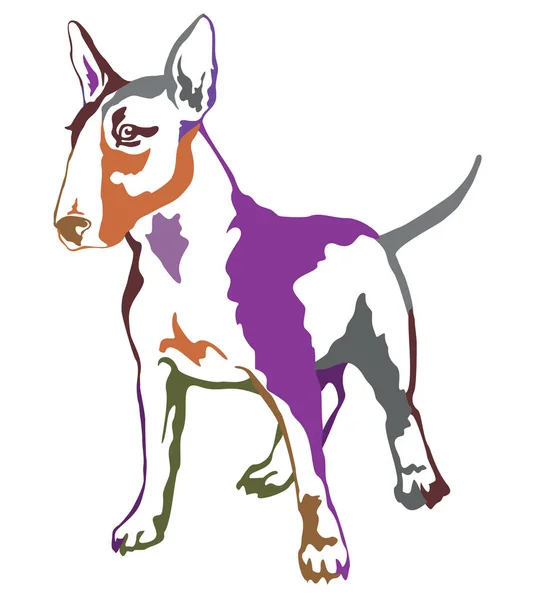 Barevné Dekorativní stojící portrét psa bulteriéra, byly porovnávány — Stockový vektor
