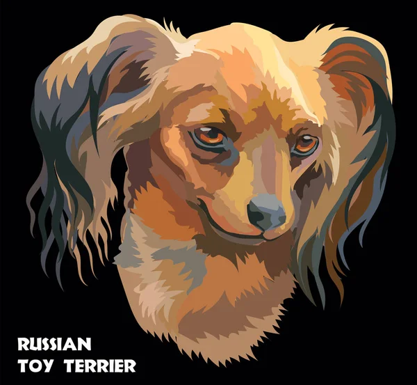 Colorido ruso de pelo largo juguete Terrier vector retrato — Archivo Imágenes Vectoriales