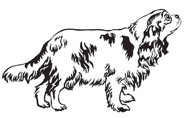 Retrato decorativo de pie del perro Cavalier King Charles Spanie — Vector de stock