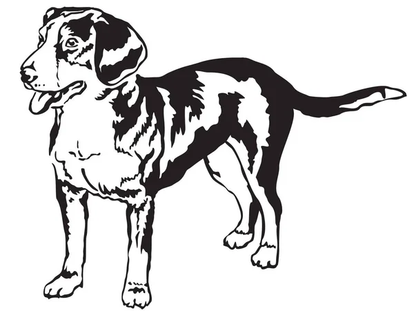 Ritratto decorativo in piedi del vettore Entlebucher Mountain Dog — Vettoriale Stock