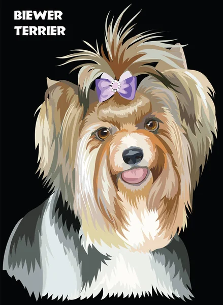 ภาพเวกเตอร์ Bewer Terrier ที่มีสีสัน — ภาพเวกเตอร์สต็อก