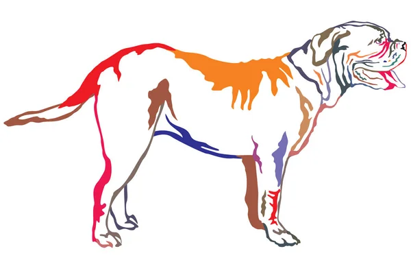 Retrato de pé decorativo colorido do cão Dogue de Bordeaux v —  Vetores de Stock