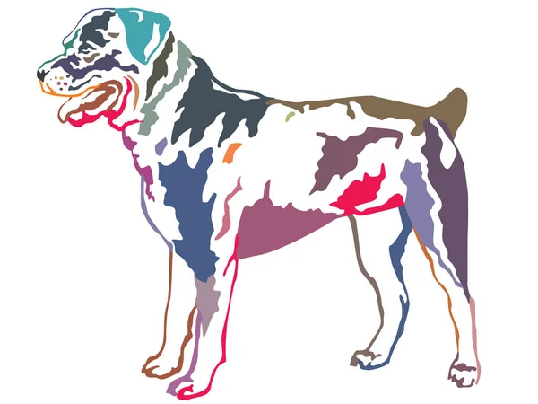 Retrato de pé decorativo colorido de illust vetor rotweiler — Vetor de Stock