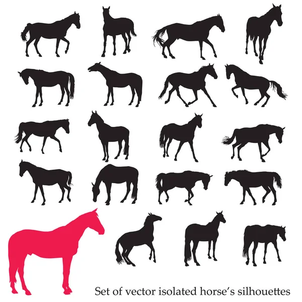 Set of isolated horse's silhouettes — Stock Vector