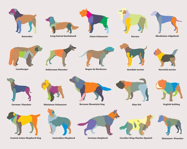 Векторный набор разноцветных силуэтов собак — стоковый вектор