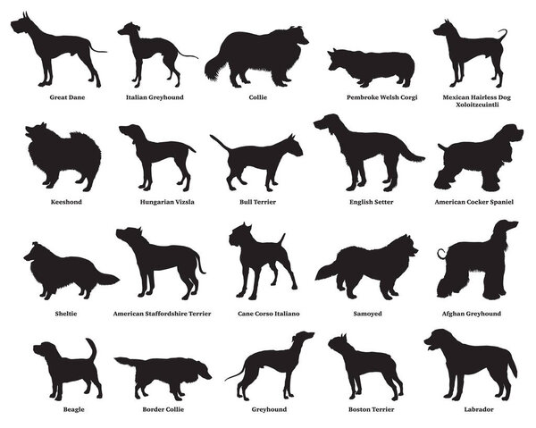 Set of dogs silhouettes-2