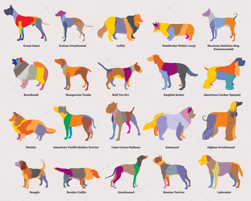 Vector set of colorful mosaic dogs silhouettes-2