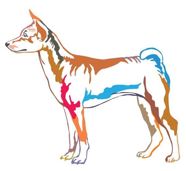 Retrato de pé decorativo colorido de Basenji vector illustra —  Vetores de Stock