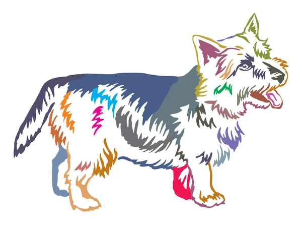 Portrait debout décoratif coloré du vecteur Norwich Terrier — Image vectorielle