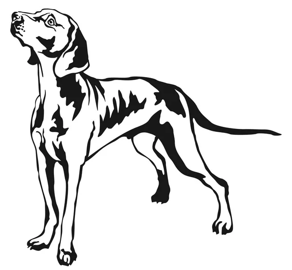 Ritratto decorativo di Weimaraner illustrazione vettoriale — Vettoriale Stock