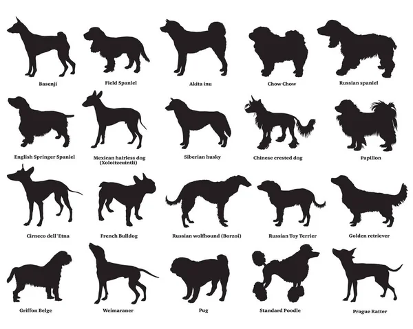 Köpekler silhouettes-3 set — Stok Vektör