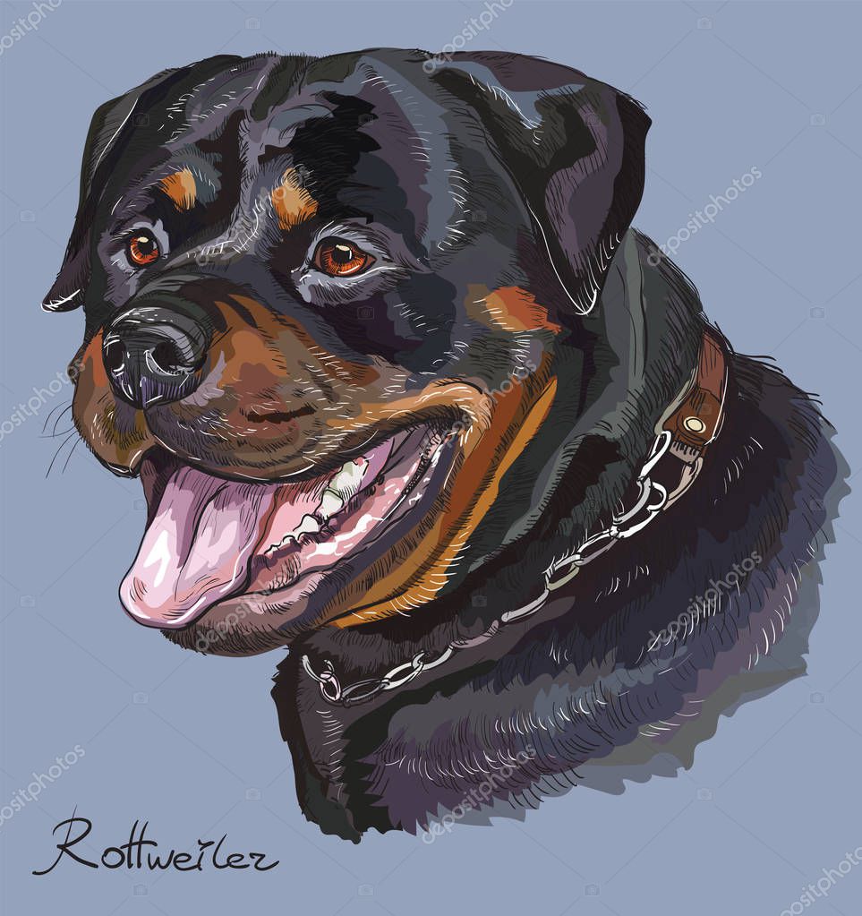 Dibujos Para Colorear De Perros Rottweiler - Impresion gratuita