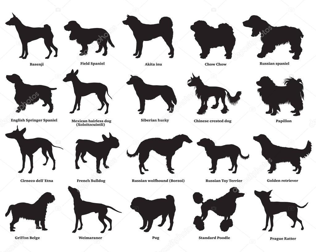 Set of dogs silhouettes-3