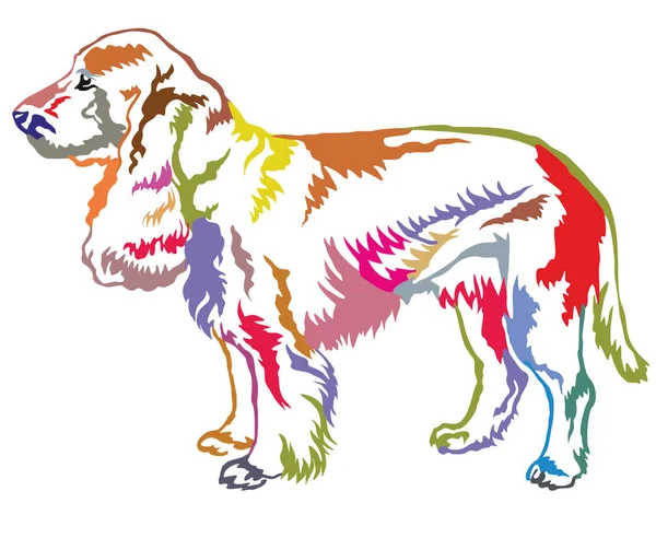 Πολύχρωμο διακοσμητικά στέκεται πορτρέτο του σκύλου σπανιέλ το πεδίο vecto — Διανυσματικό Αρχείο