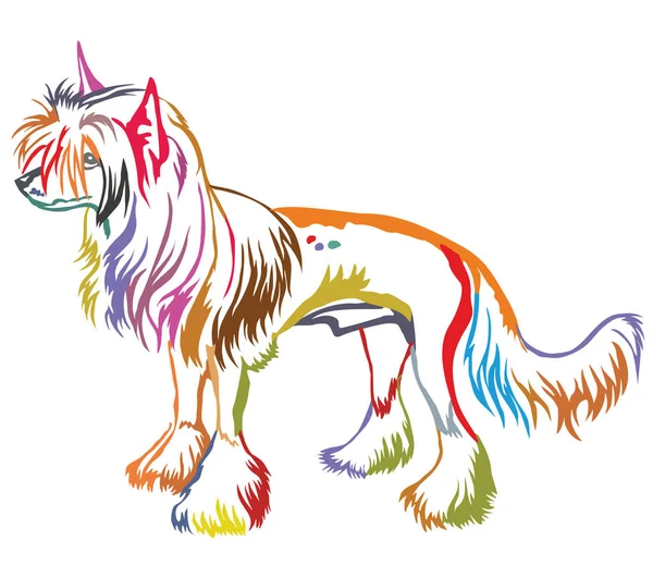 Portrait debout décoratif coloré de chien à crête chinoise vec — Image vectorielle