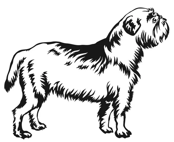 Köpek Griffon Belge vektör illustr dekoratif ayakta portresi — Stok Vektör