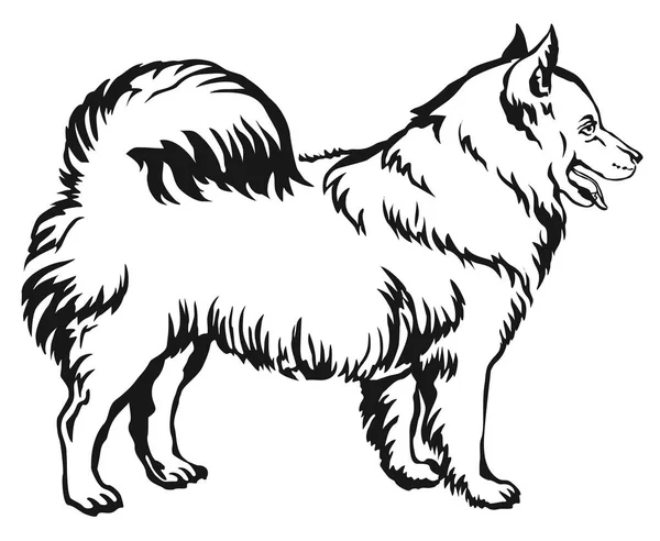 Portrait debout décoratif de chien Illustration vectorielle Samoyed — Image vectorielle