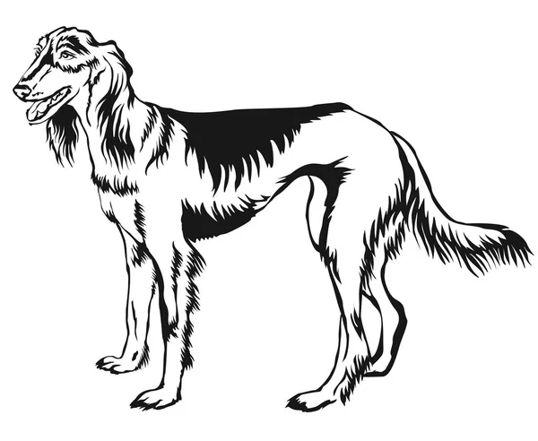 Decoratieve staande portret van Perzische windhond (Saluki) vecto — Stockvector