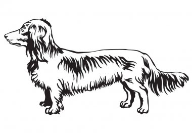 Dachshund Long Premium Vector Download For Commercial Use Format Eps Cdr Ai Svg Vector Illustration Graphic Art Design