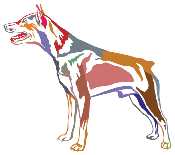 Colorido retrato decorativo de pie de perro Miniatura Pinscher — Archivo Imágenes Vectoriales