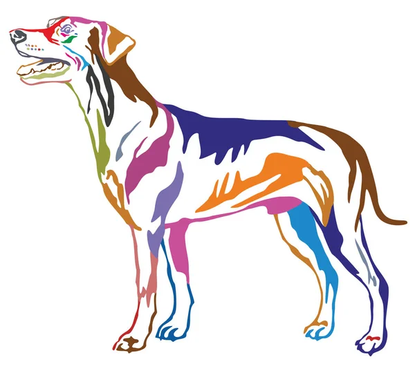 Barevné Dekorativní stojící portrét pes německý pinč (st — Stockový vektor