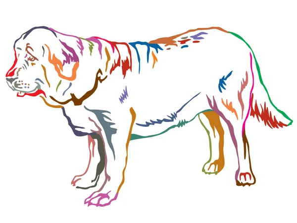 Retrato de pé decorativo colorido de cão espanhol Mastiff vec —  Vetores de Stock