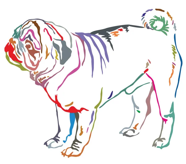 Kleurrijke decoratieve staande portret van hond pug vector illustra — Stockvector