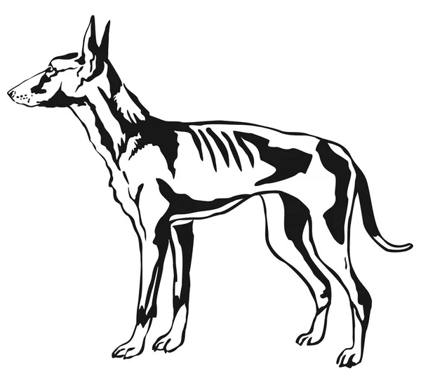 Podenco 种狗矢量生病的装饰站肖像 — 图库矢量图片