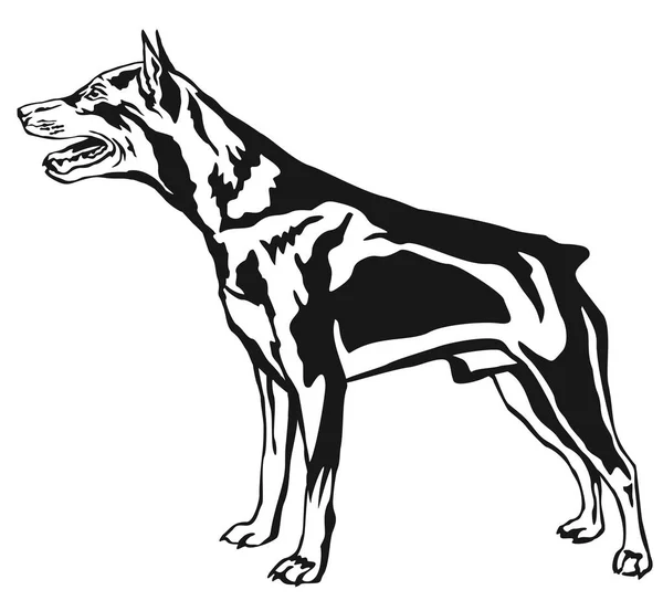 Retrato de pie decorativo de perro Miniatura Pinscher vector il — Vector de stock