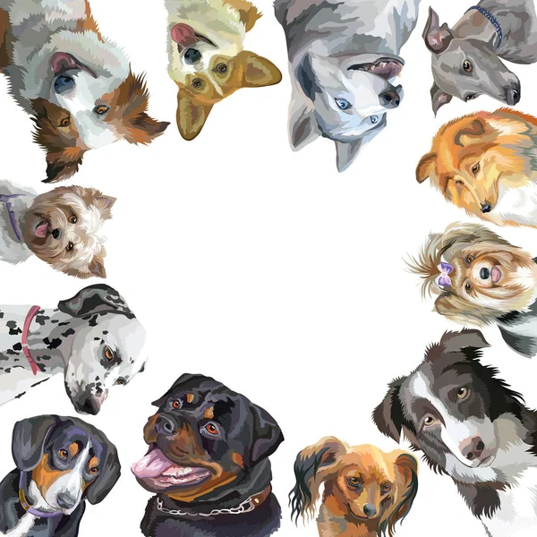 Gruppo di cani razze diverse in quadrato isolato su dorso bianco — Vettoriale Stock