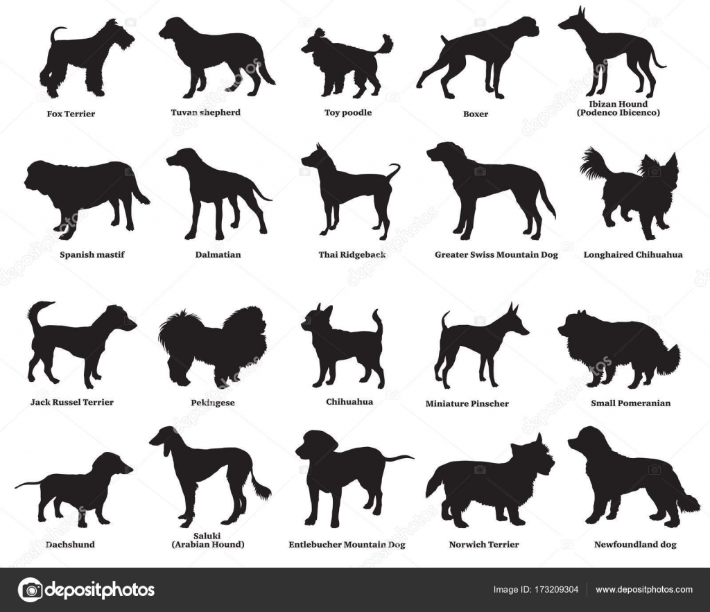 Set Of Dogs Silhouettes 4 — Stock Vector © Alinart 173209304