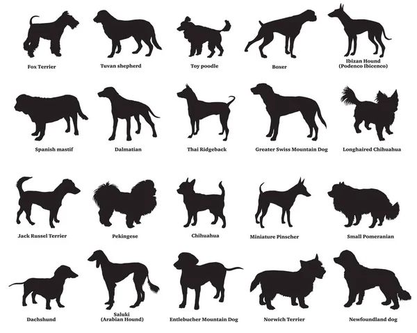 Set von hunden silhouetten-4 — Stockvektor