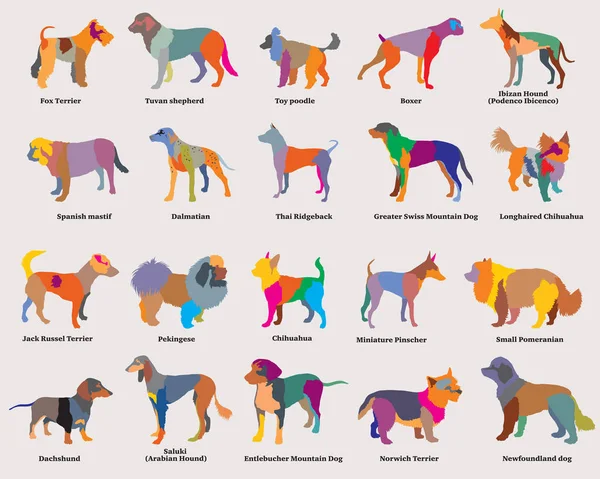 Vector set of colorful mosaic dogs silhouettes-4 — Stock Vector