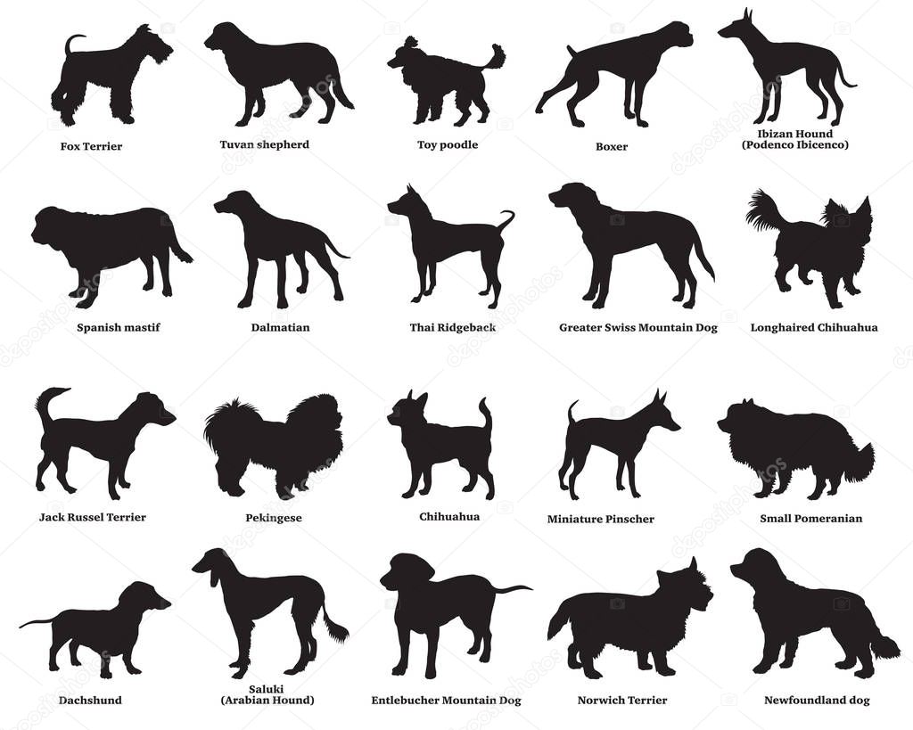 Set of dogs silhouettes-4