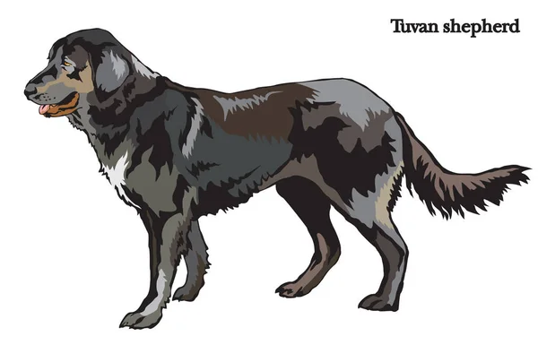 Hund (Schäferhund) Vektor Illustration — Stockvektor