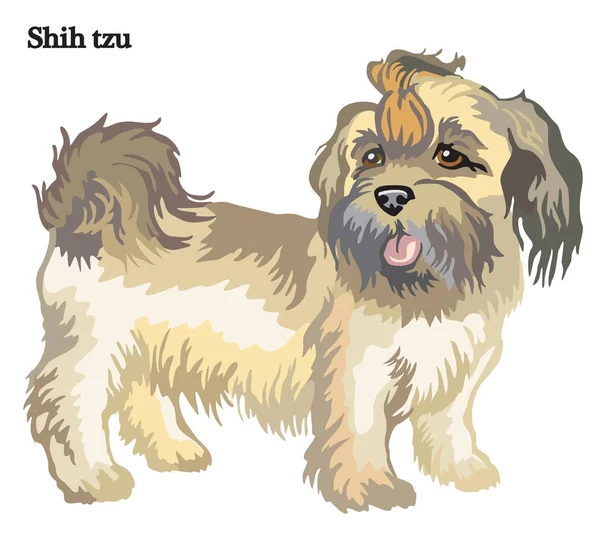 Shih tzu ilustração vetorial — Vetor de Stock