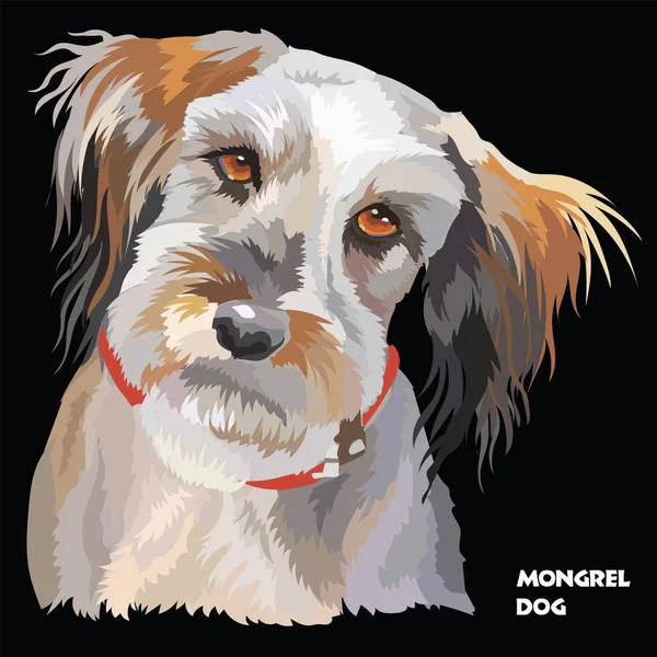 Пухнастий собака барвистий векторний портрет — стоковий вектор