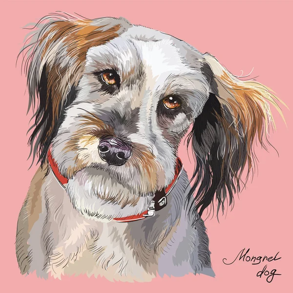 Fluffy perro colorido vector mano dibujo retrato — Vector de stock