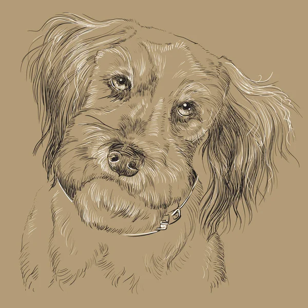 Monocromo esponjoso perro vector mano dibujo retrato — Vector de stock