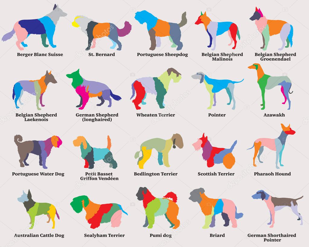 Vector set of colorful mosaic dogs silhouettes-6