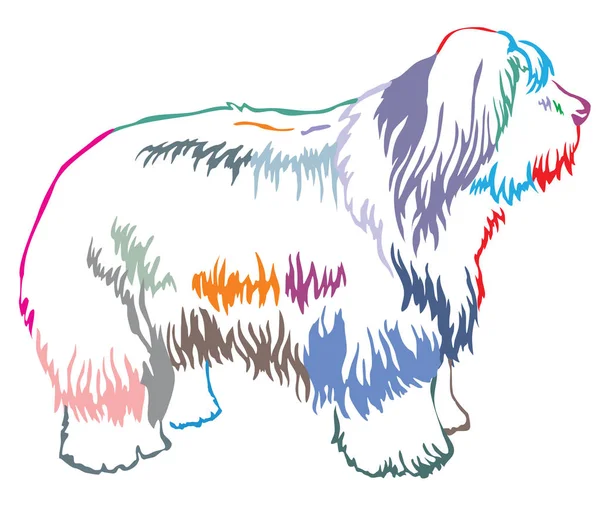 Óangol juhászkutya ve színes dekoratív állandó portréja — Stock Vector