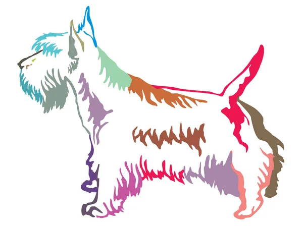 Colorful decorative standing portrait of Scottish Terrier vector — Stock Vector