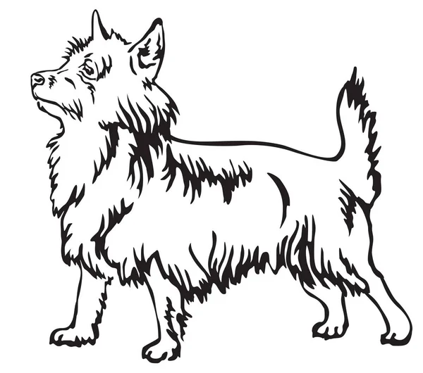 Retrato de pé decorativo de Australiano Terrier vetor illust — Vetor de Stock