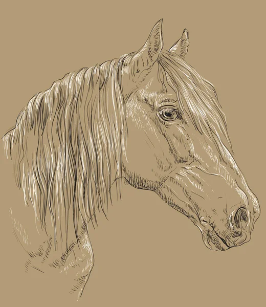 Retrato de caballo-6 sobre fondo marrón — Archivo Imágenes Vectoriales